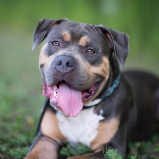 🐶🐱💛 Happy Welttierschutztag! 💛🐶🐱

#welttierschutztag #tierliebe #tierschutz #tierfotografie #waueffekt