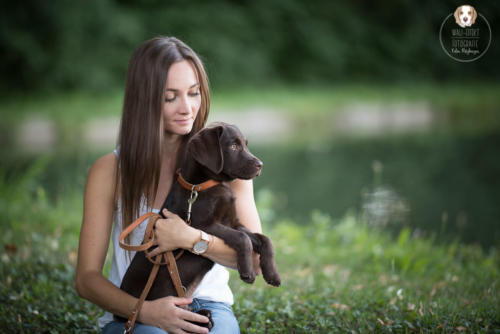 Hundefotografie mit Wau-Effekt